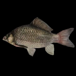 Horizontally Rotating Fish icon