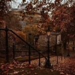 ⋆｡°✩🍂✩°｡⋆