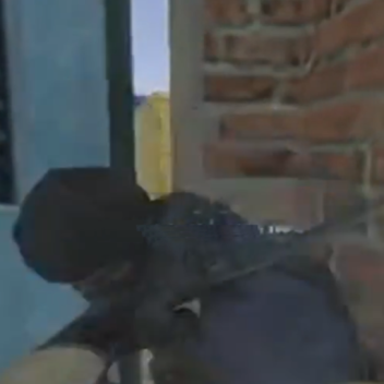 DOOR STUCK ROLEPLAY 