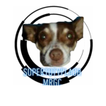 toty my dog