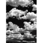 SKY$TORE