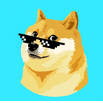 Doge‘S