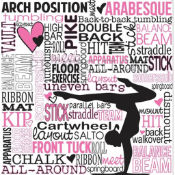 Fantastic Gymnastics And Cheer Private Gym