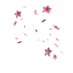 BlossomOSquad