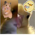 panda_XD195