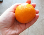 Tangerine unite