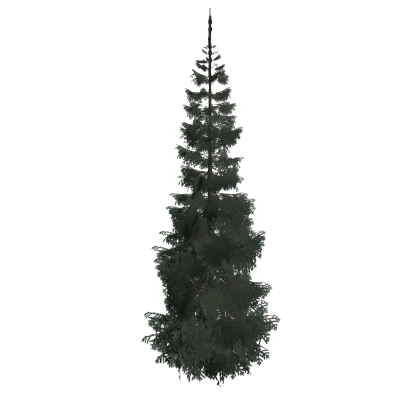 Tree2