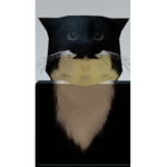 그룹이임