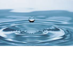 The water fan club