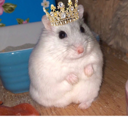 Hamster Kingdom