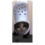 NEKOS place
