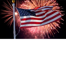 Forth of July: BATTLE ROYALE icon