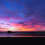 Sunsets for life bee bee