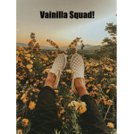 ⁓ The Vainilla Squad! ⁓