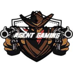 Elite Gaming Agents