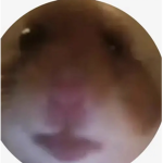Max_turbo1234