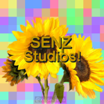 SENZ Studios