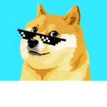 DOGES OF THEM ALL