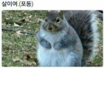 힣힣힣
