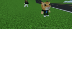 Team pop cat les boss