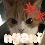 nyani