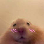 NotHereForYou1