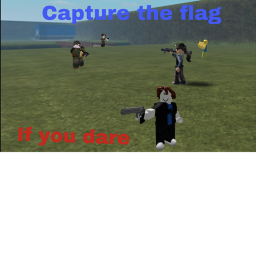 Capture the flag