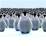 Epic Penguins Of Robloxia