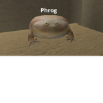 Frog gang and the boys