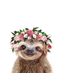 Sofia’s Sloth Army!