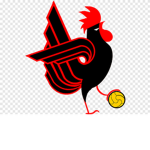 Chicken United FC