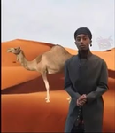 asnjiorw