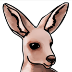 The Kangaroo Gang Group