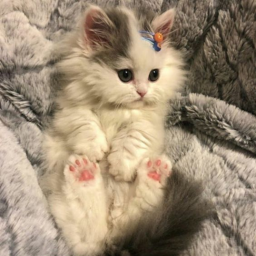 ♡