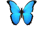 butterfly_queen