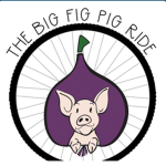 FIG PIGS