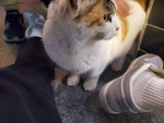 ㅋㄹ 로벅 이벤방