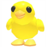 Ian roblox Group