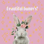 Beautiful bunny’s !
