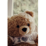 Team Bear For Life Official Group