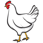 The Legendary Chicken Squad