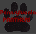 Pennsylvania Panthers