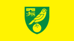 Digital Football Federation