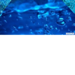 butterfly_roblox