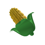 Corn on the Cob