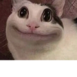 Kitty meow meow gamers