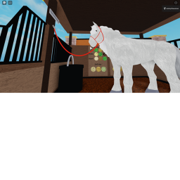 Star happy Stable's