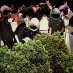 W Or L Avatars