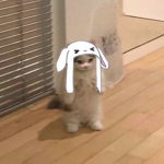 uh <333