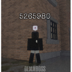 Fan de Nacho_Roblox